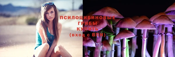 сатива Армянск