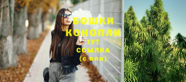 сатива Армянск